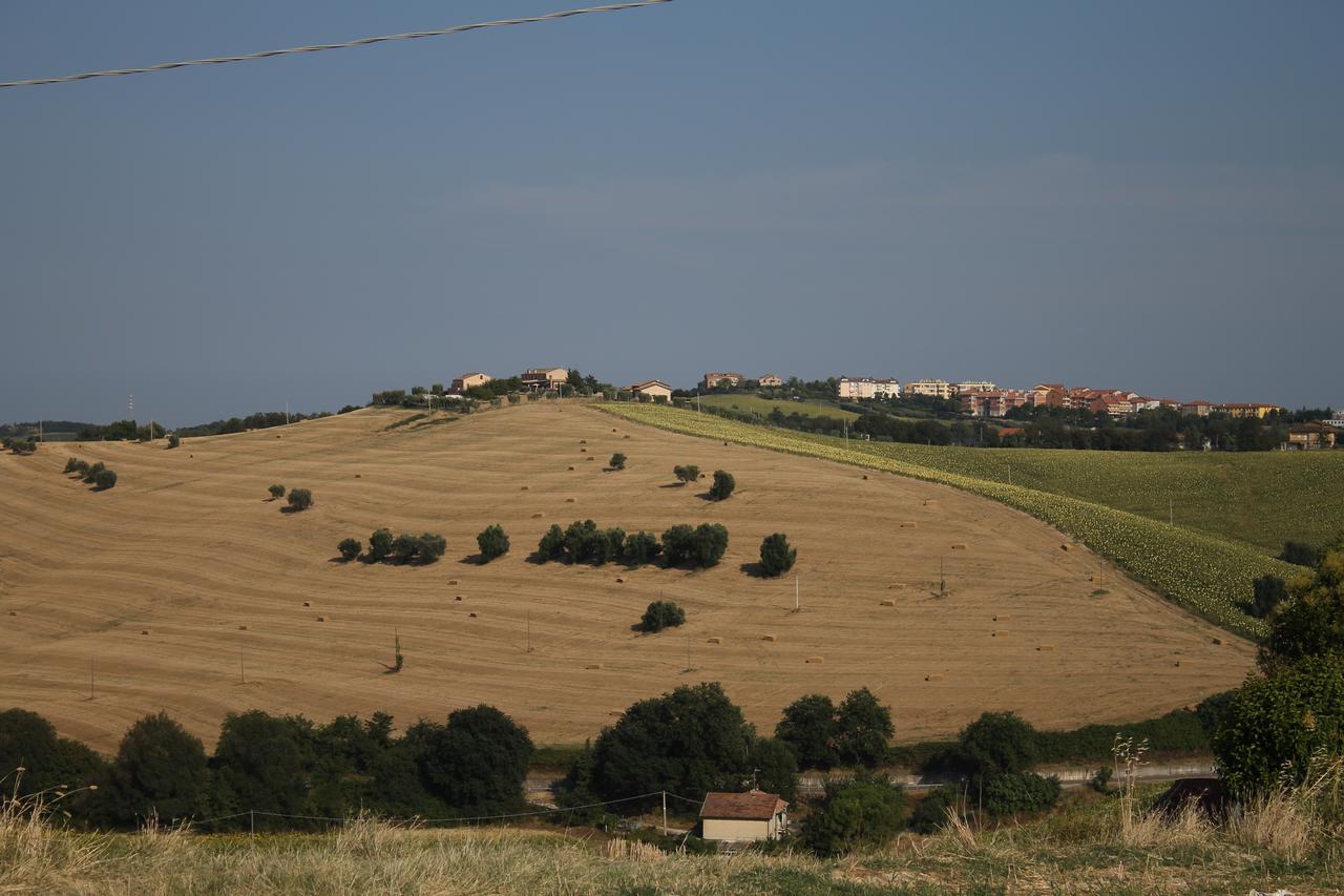 La Viola E Il Sole - Alloggi E Glamping - Fermo Eksteriør bilde